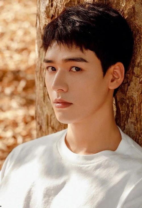 娱乐圈吃瓜龚俊是谁啊百度云,揭秘龚俊的百度云之谜